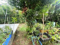Caldecott Hill Estate (D11), Detached #543892201